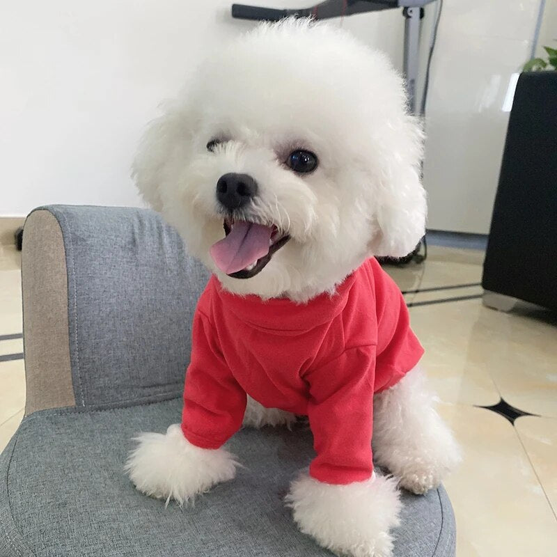 Puppy Solid Color Bottoming Shirt Autumn and Winter Pet Knitted Sweater Teddy Bear Warm Two-legged Clothes Popular Pet Supplies
