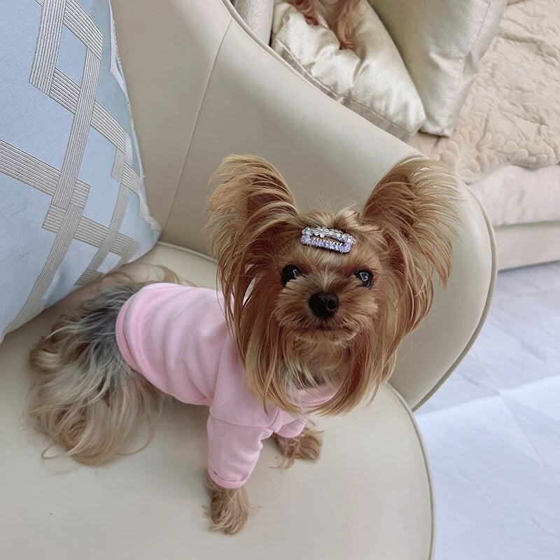 Puppy Solid Color Bottoming Shirt Autumn and Winter Pet Knitted Sweater Teddy Bear Warm Two-legged Clothes Popular Pet Supplies