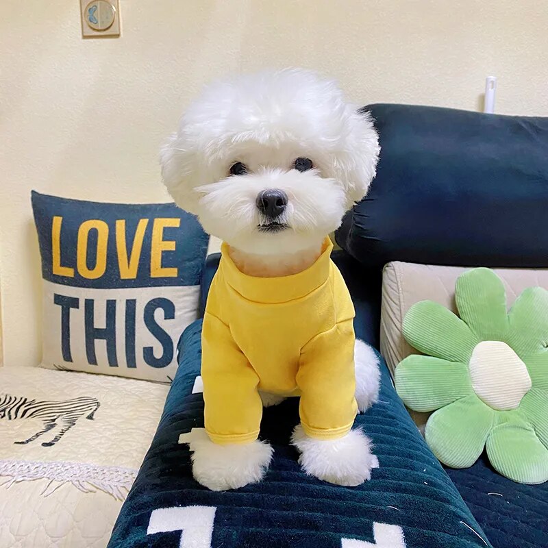 Puppy Solid Color Bottoming Shirt Autumn and Winter Pet Knitted Sweater Teddy Bear Warm Two-legged Clothes Popular Pet Supplies